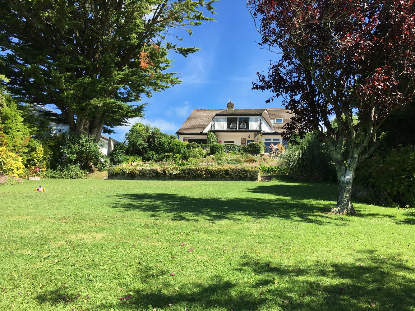 Strands from back garden (Bude Cornwall)